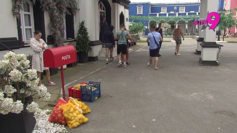 Počinju pripreme za Uskrs! Veliki šef poslao učesnicima pune korpe, počinje dekorisanje! (VIDEO)